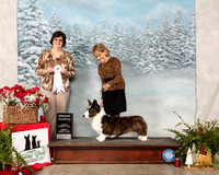 Cardigan Welsh Corgi #21 Sun G4 Judge Danelle Brown