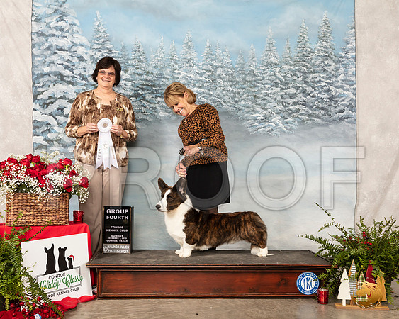 Cardigan Welsh Corgi #21 Sun G4 Judge Danelle Brown__SR_5354_Conroe2019-HR3