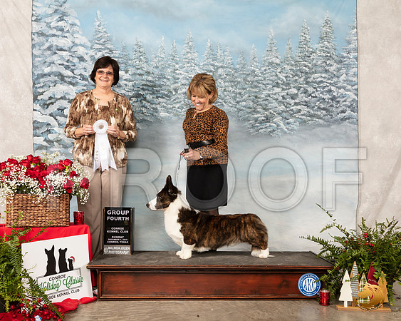 Cardigan Welsh Corgi #21 Sun G4 Judge Danelle Brown__SR_5356_Conroe2019-HR3