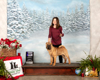 Chinese Shar Pei #? WD Judge Tim Robbins