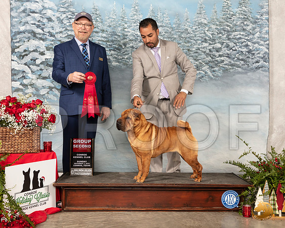 Chinese Shar Pei #14 Sun G2 Judge Tim Robbins__SR_5264_Conroe2019-HR3