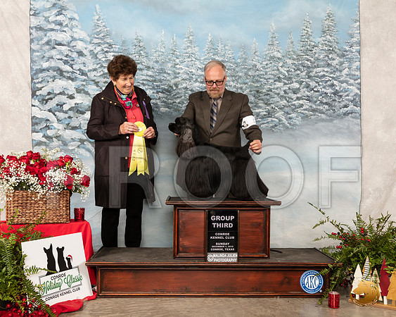 Cocker Spaniel Black #9 Sun G3 Judge Ann F Yuhasz__SR_5445_Conroe2019-HR3