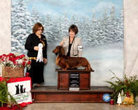 Dachshund Long Coat #7 Sun G4 Sun Elizabeth Muthard