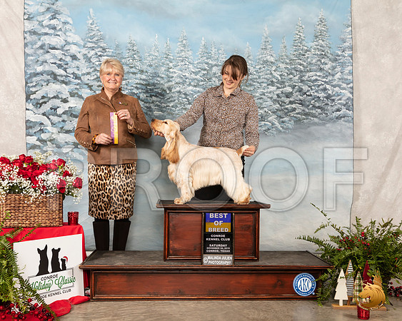English Cocker Spaniel #12 Sat BOB Judge Debra Thornton__SR_5221_Conroe2019-HR3