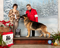 German Shepherd Dog #11 Sun NGrCh Judge Danelle Brown