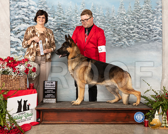 German Shepherd Dog #11 Sun NGrCh Judge Danelle Brown__SR_5277_Conroe2019-HR3