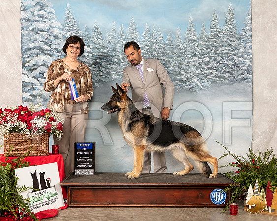 German Shepherd Dog #34 Sun BOW Judge Danelle Brown__SR_5448_Conroe2019-HR3