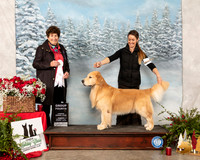 Golden Retriever #31 Sun G4 Judge Ann F Yuhasz