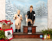 Italian Greyhound #19 Sun NGrCh Judge Erika Moreau
