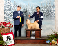 Lhasa Apso #5 Sun BOB Judge Tim Robbins