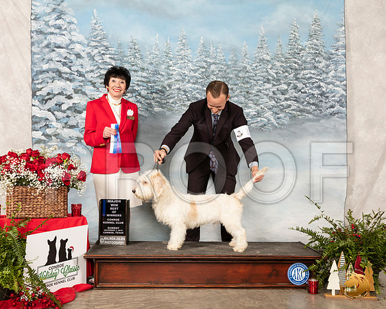 PBGV #11 Sun BOW Maj Judge Barbara Alderman__SR_5287_Conroe2019-HR3