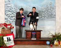 Papillon #10 Sun RBIS Judge Charles Olvis