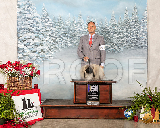 Pekingese #11 Sat BOB Maj__SR_5104_Conroe2019-HR3