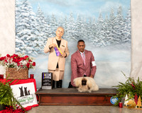 Pekingese #15 Sun BOB Maj Judge Erika Moreau