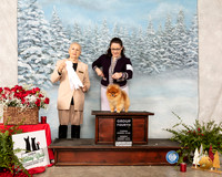 Pomeranian #9 Sun G4 Judge Erika Moreau