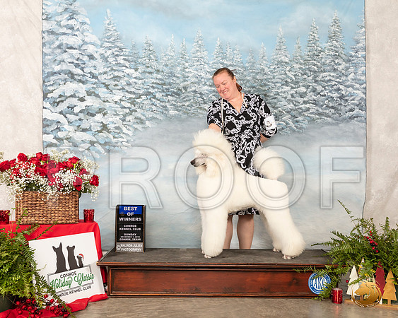 Poodle Std #19 Sun #19 BOW __SR_5112_Conroe2019-HR3