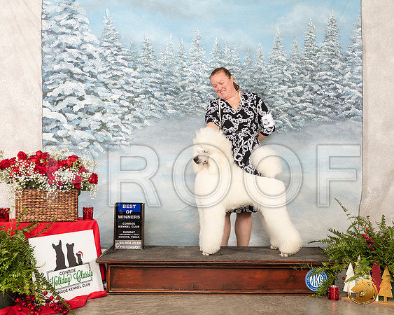 Poodle Std #19 Sun #19 BOW __SR_5113_Conroe2019-HR3