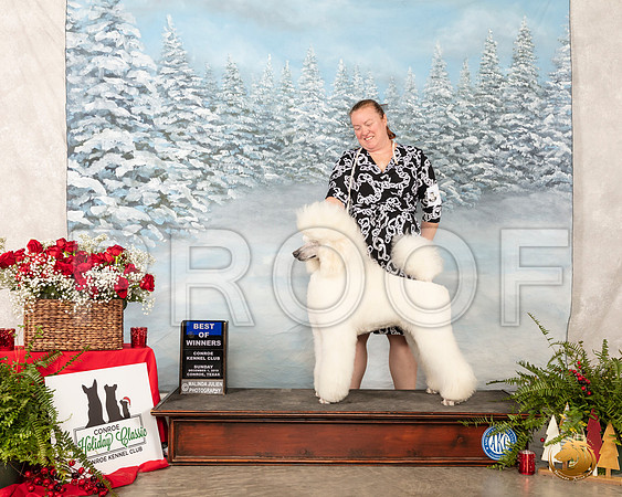 Poodle Std #19 Sun #19 BOW __SR_5115_Conroe2019-HR3