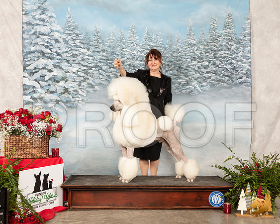 Poodle Std #21 Sun BOV__SR_5296_Conroe2019-HR3