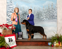 Rottweiler #19 Sun WD Maj Judge Nancy Simmons