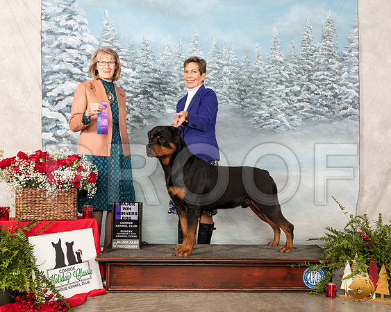Rottweiler #19 Sun WD Maj Judge Nancy Simmons__SR_5153_Conroe2019-HR3