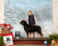 Rottweiler #23 Sun SD