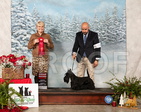 Scottish Terrier #10 Sun G2 Judge Debra Thornton__SR_5394_Conroe2019-HR3