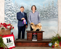Tibetan Spaniel #6 Sun BOS Judge Tim Robbins