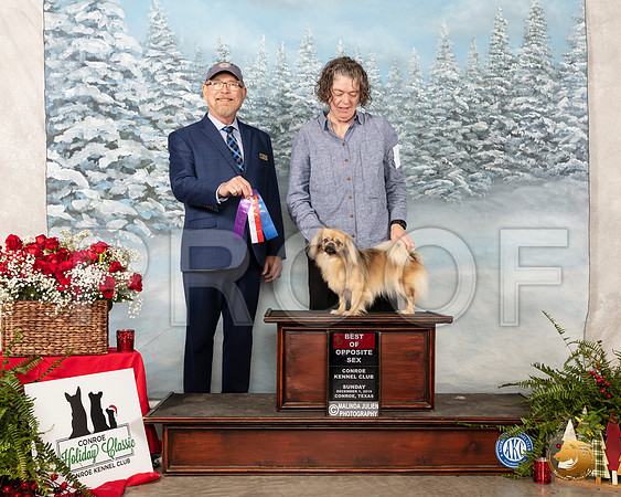 Tibetan Spaniel #6 Sun BOS Judge Tim Robbins__SR_5007_Conroe2019-HR3