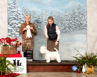 West Highland White Terrier #5 Sun G4 Judge Debra Thornton