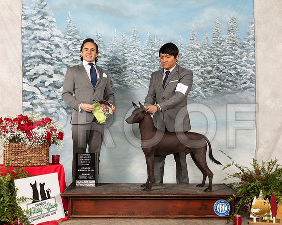 Xolo #5 Sun OHRBIS Judge Juan Miranda__SR_5483_Conroe2019-HR3