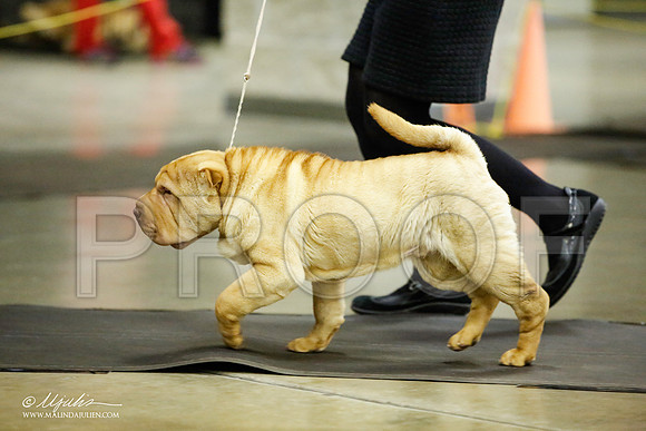 _JJ_5713-BeltonJan2015IABCA-HR3