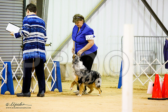_JJ_5375-ASCACollegeStationNov2014-HR3