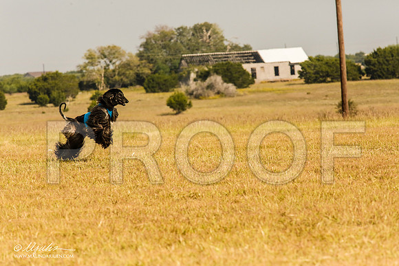 _MJ_3997-AfgBeltonOct2014-HR3
