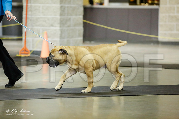 _RH_1537-BeltonJan2015IABCA-HR3