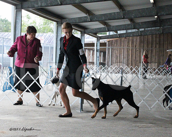 Jr.Dobe-9735