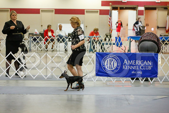 _JJ_0460-AmarilloSept2014-HR3