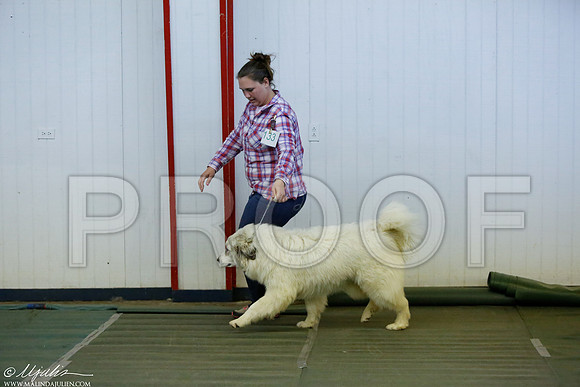 _MJ_4363-DentonMar2015-HR3