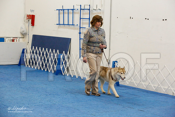 _M3_7971-AddisonHuskyMar2015-HR3