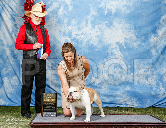 _ST_3145-2-AlamogordoOct2014-HR3