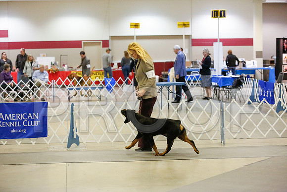 _JJ_7718-AmarilloSept2014-HR3
