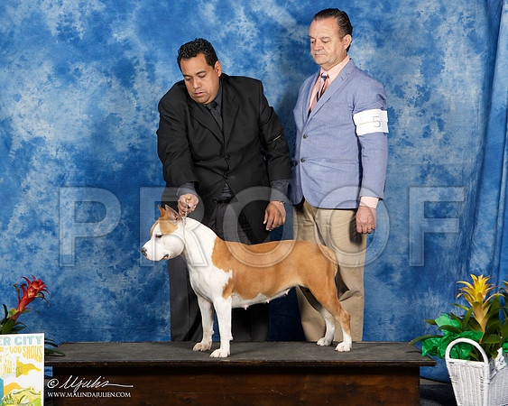 _ST_7606-SAJul2014-HR3