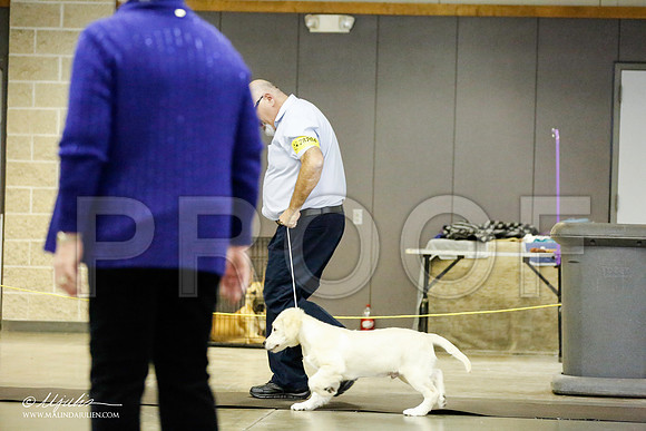_RH_0959-BeltonJan2015IABCA-HR3