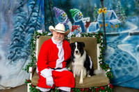 Border Collie Sonya Asido Thurs