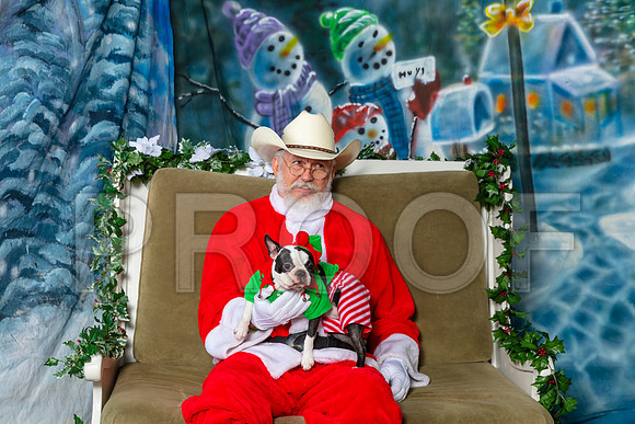 Boston Terrier Thurs–_SR_5538-Dallas2019-HR3