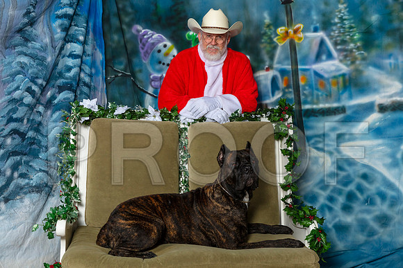 Cane Corso Josh Thur–_SR_5632-Dallas2019-HR3