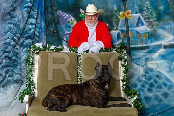 Cane Corso Josh Thur–_SR_5633-Dallas2019-HR3