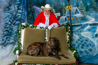 Cane Corso Josh Thurs Rambo
