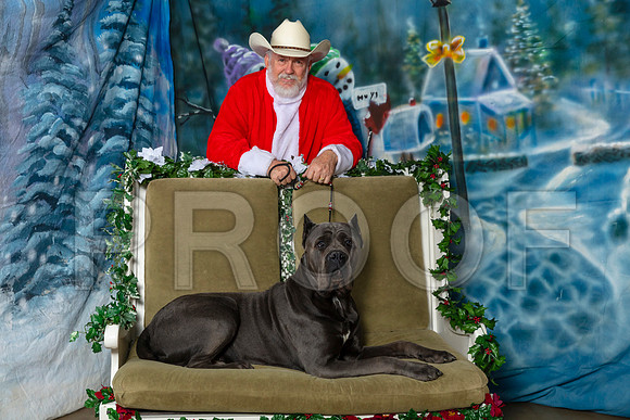 Cane Corso Josh Thurs 2–_SR_5640-Dallas2019-HR3