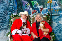 Chiuahua Terri DeJarnett Thurs